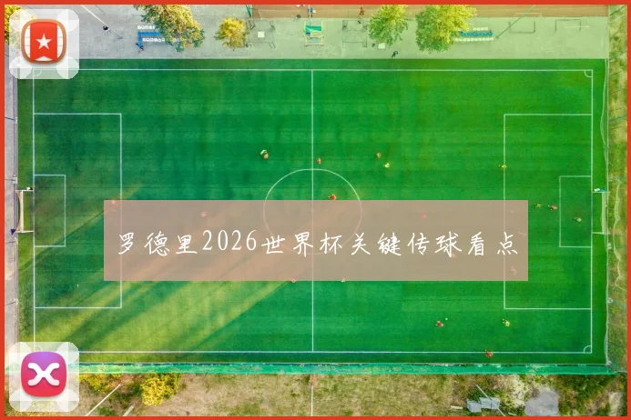 罗德里2026世界杯关键传球看点