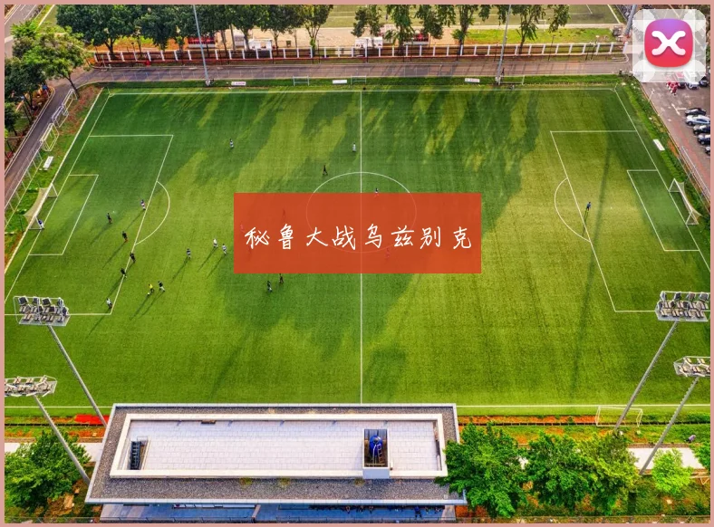 秘鲁大战乌兹别克