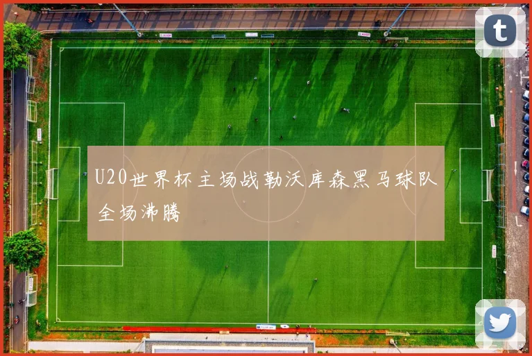 U20世界杯主场战勒沃库森黑马球队全场沸腾
