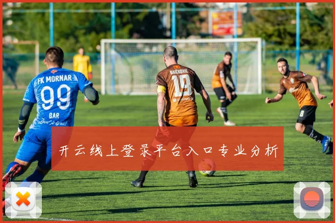 开云线上登录平台入口专业分析