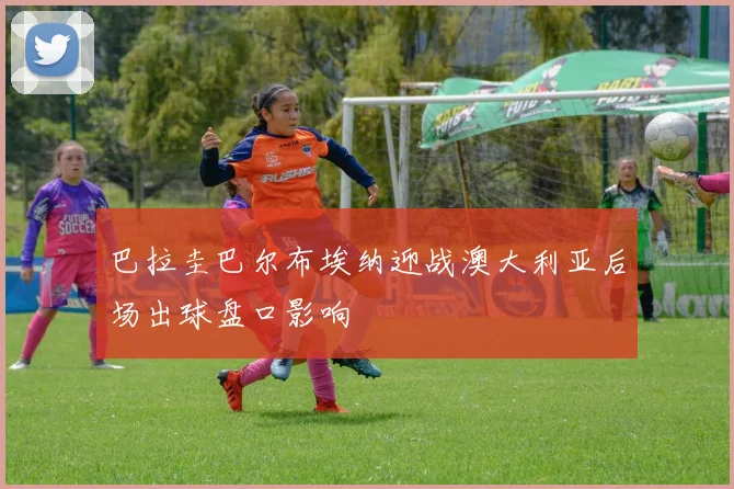 巴拉圭巴尔布埃纳迎战澳大利亚后场出球盘口影响