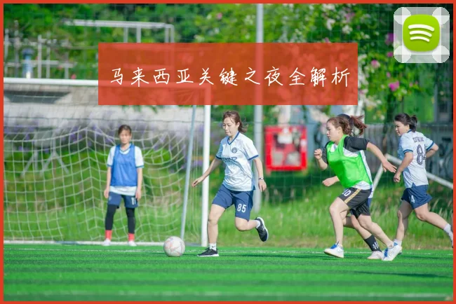 马来西亚关键之夜全解析