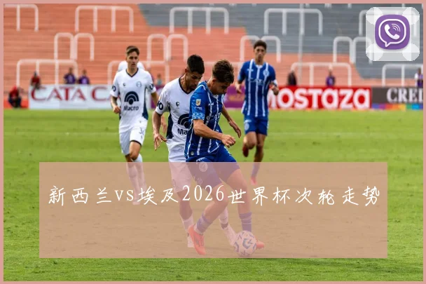 新西兰vs埃及2026世界杯次轮走势