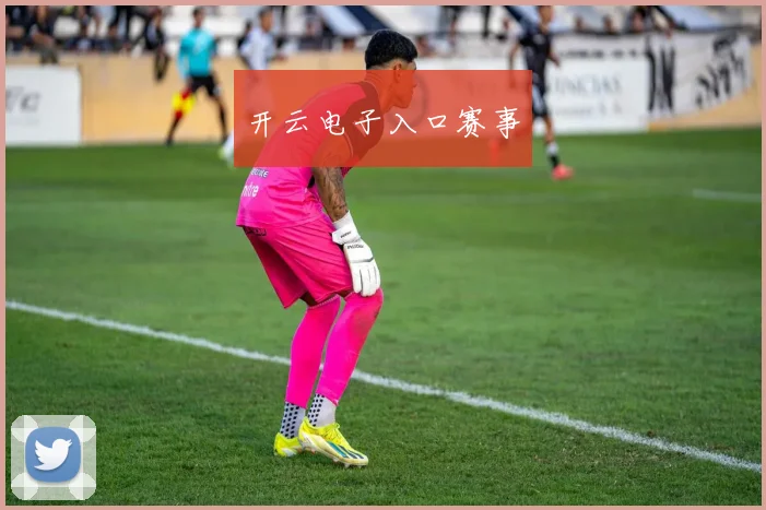 开云电子入口赛事