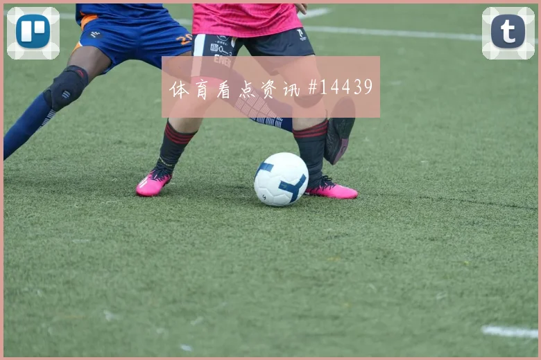 勒沃库森硬战桑托斯