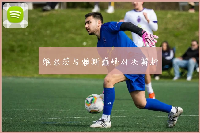 维尔茨与赖斯巅峰对决解析