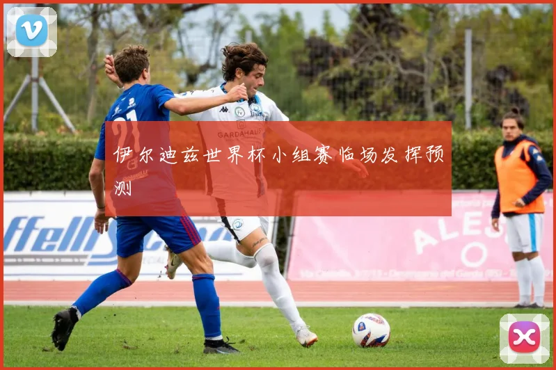 伊尔迪兹世界杯小组赛临场发挥预测