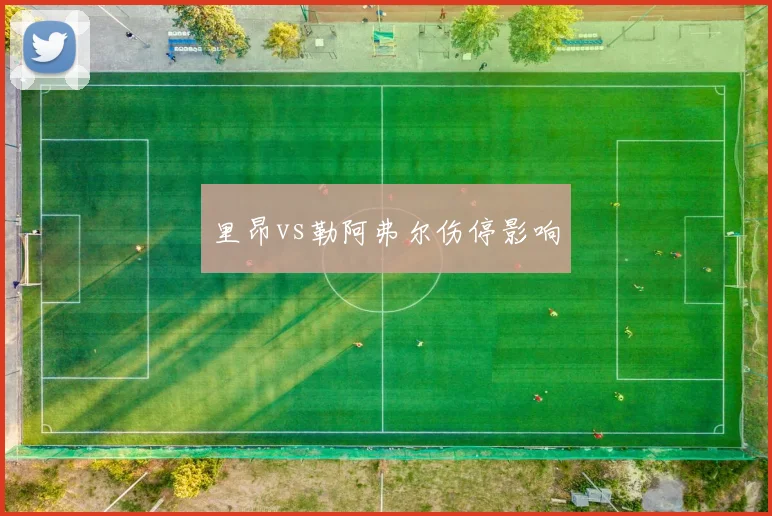 里昂vs勒阿弗尔伤停影响